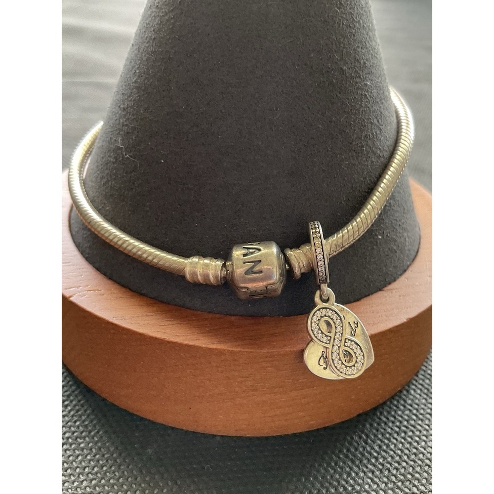 Pandora ALE 925 Sterling Silver Snake Chain Bracelet Forever Friends Charm Gift